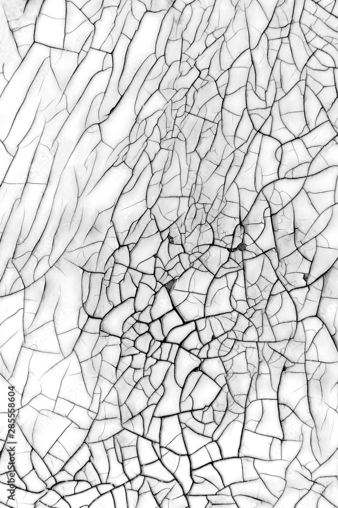 Obraz premium Abstract black and white texture