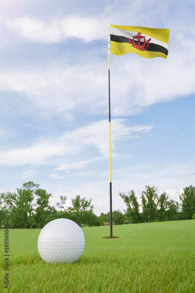 Obraz premium Brunei flag on golf course putting green with a ball near the hole