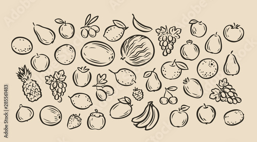 Many hand-drawn fruits. Food sketch vector illustration