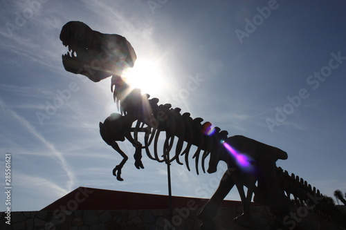 Esqueleto de Tiranosaurio Rex photo