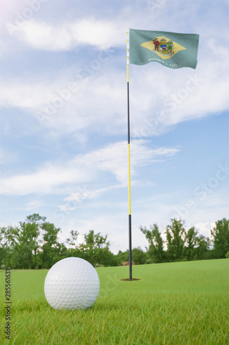 Delaware flag on golf course putting green with a ball near the hole