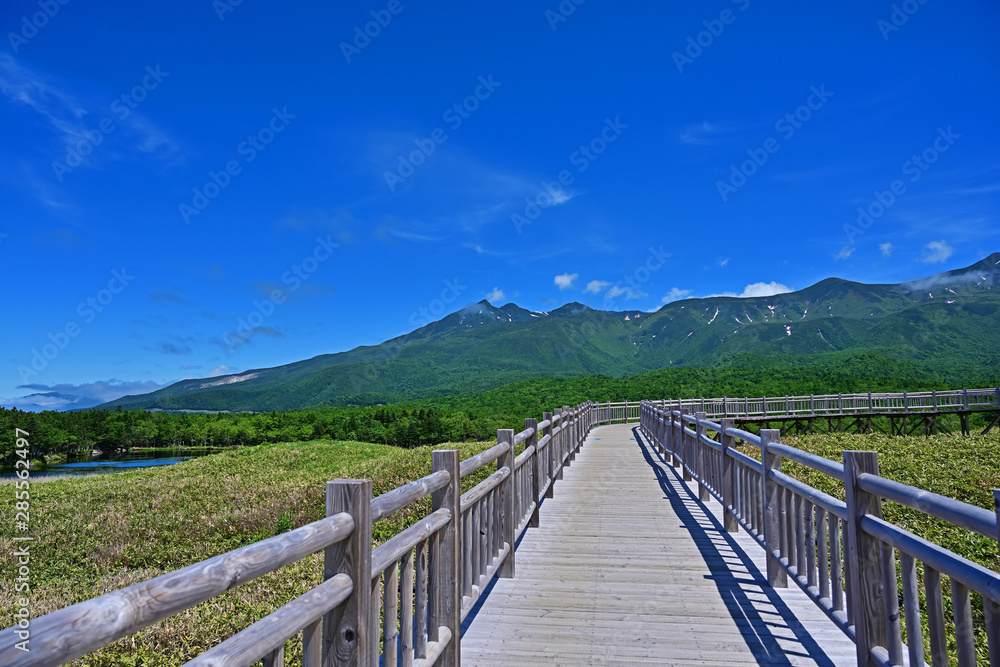 Obraz premium 木製遊歩道から見た知床五湖の情景＠知床、北海道