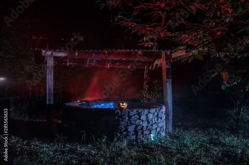 Fototapeta Naklejka Na Ścianę i Meble -  Halloween Pumpkins On Wood In A Spooky Forest At Night