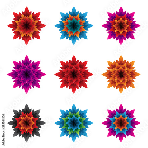 Colorful Bold Flowers with Spiky Petals Vector Illustration © cidepix