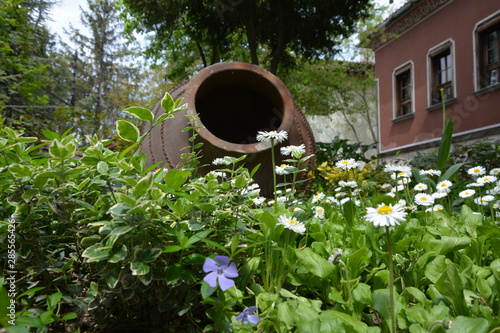 Planter in Garden