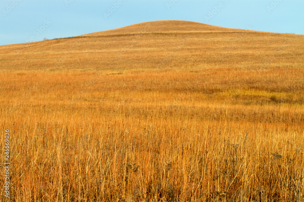 golden grass on Kansas hill; Tallgrass Prairie National Preserve