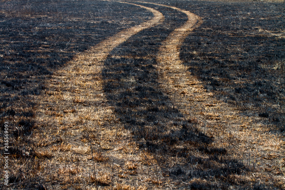 Naklejka premium vehicle tracks through burned prairie grass, Kansas