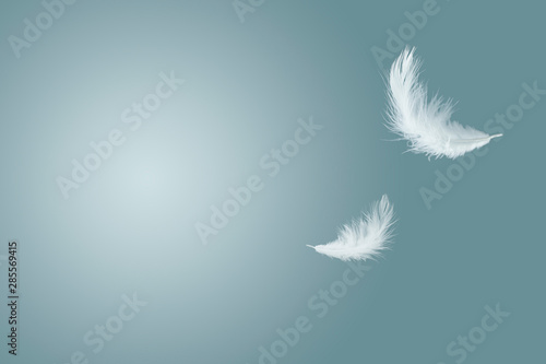 abstract white feathers floating in the air