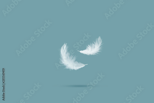 Foto Down Feather