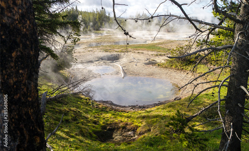 hot spring steaming in Yellowstone National Park photo