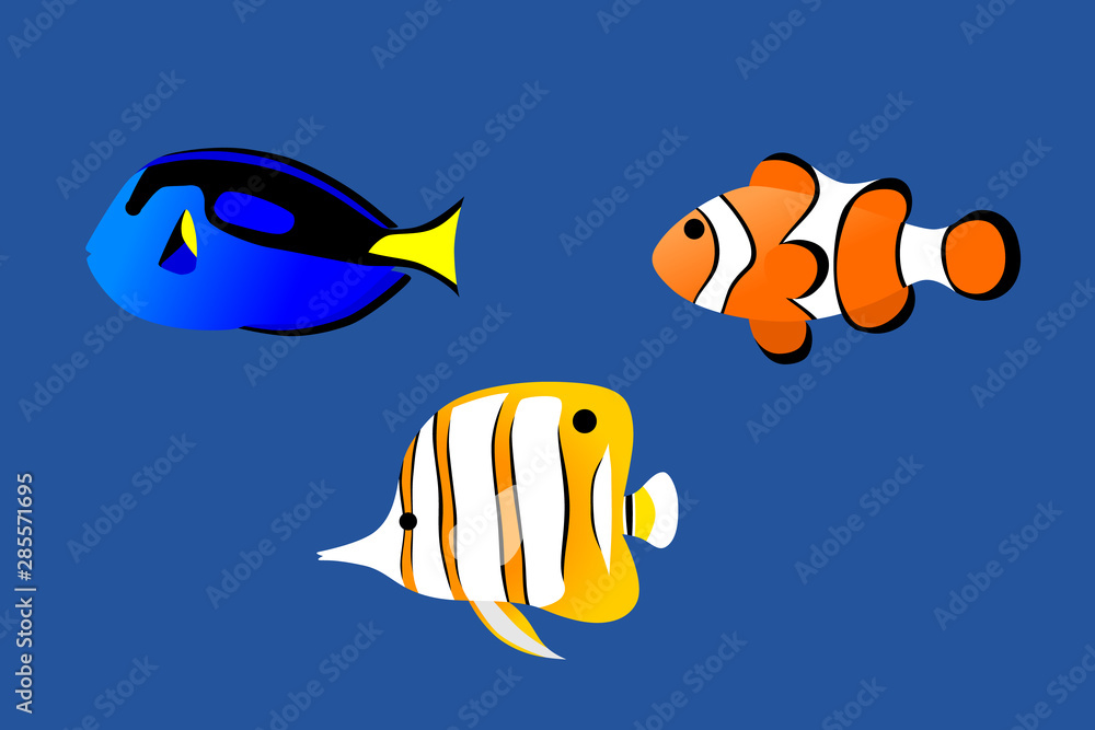 Illustration of beautiful sea fish, minimal cartoon style. Stock Vector |  Adobe Stock
