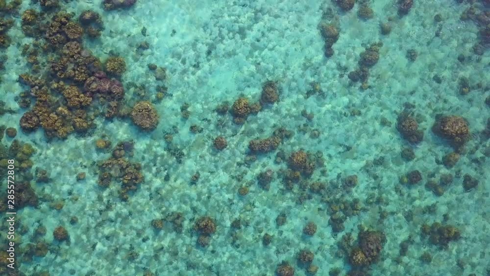 Aerial drone view of coral reef in calm weather flat water and incredible colorful turquoise sea. Movement camera is zoom out. Aerial drone view of coral reef in calm weather flat water and incredible colorful turquoise sea. Movement camera is zoom out.