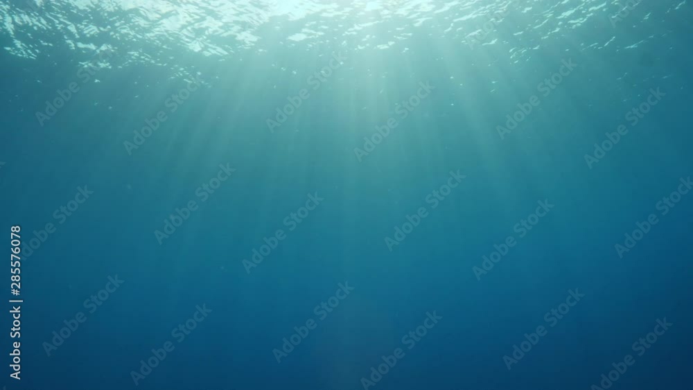 Sun into Underwater Sun into Underwater