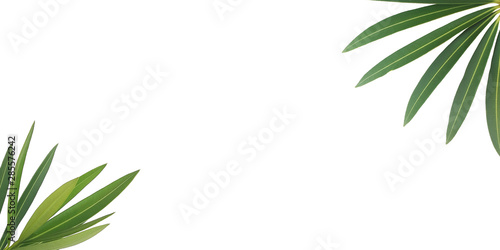green leafs wallpaper © twentyfive