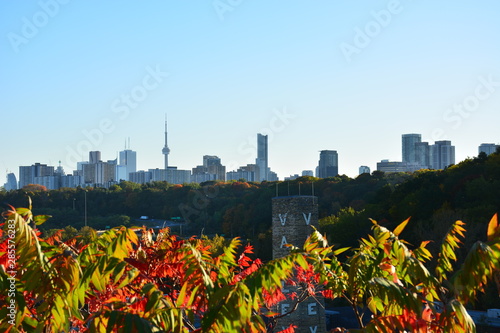 Photography Women enjoying Autumn in Toronto
