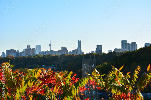 Women enjoying Autumn in Toronto