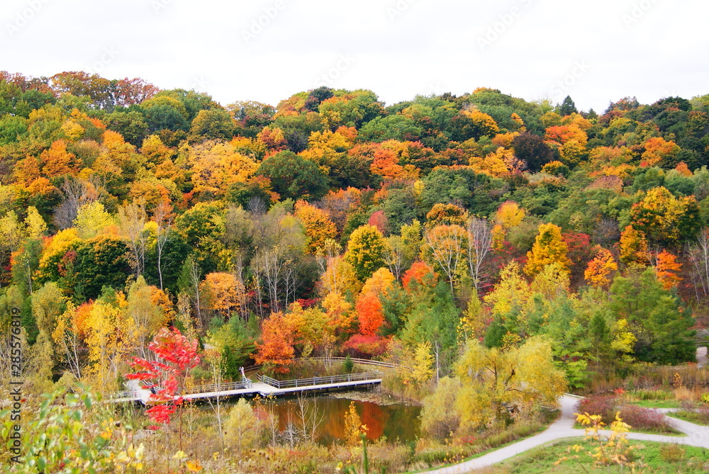 Obraz premium Stunning photos of Autumn