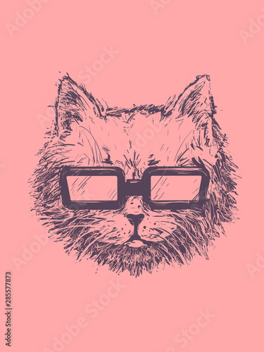 Cat Sketch Sunglasses Illus...