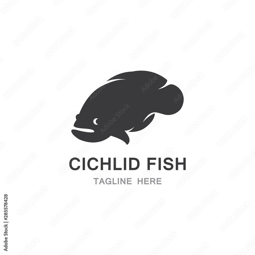 Obraz premium Chichlid Fish