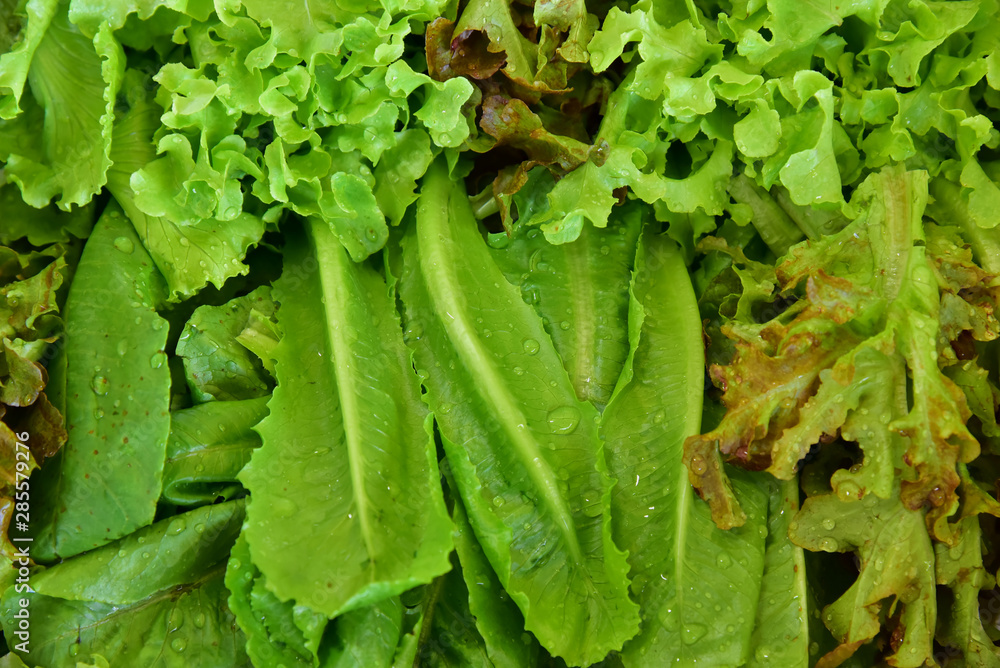 Vegetables are law material for healthy cooking of salad very good meal. Vegetables are law material for healthy cooking of salad very good meal.