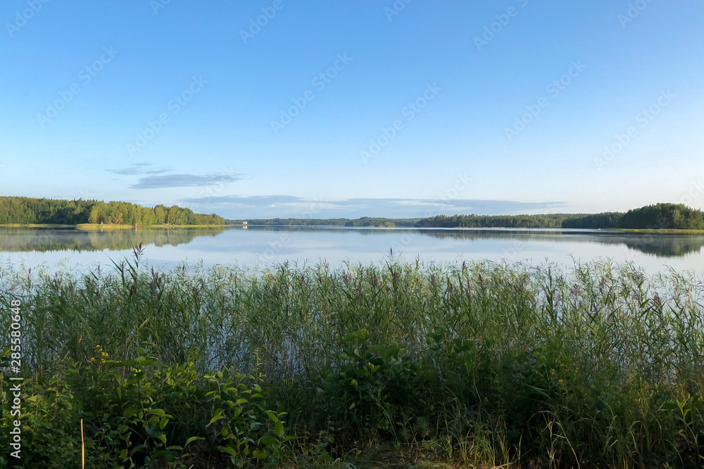 View of the beautiful lake , in the foreground overgrown with grass . The climate of Northern Europe