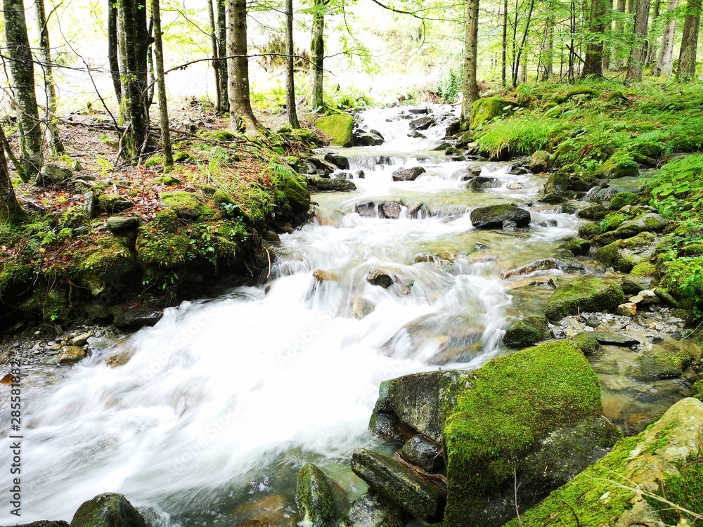 Obraz premium Wildbach w Alpach - Übelbach