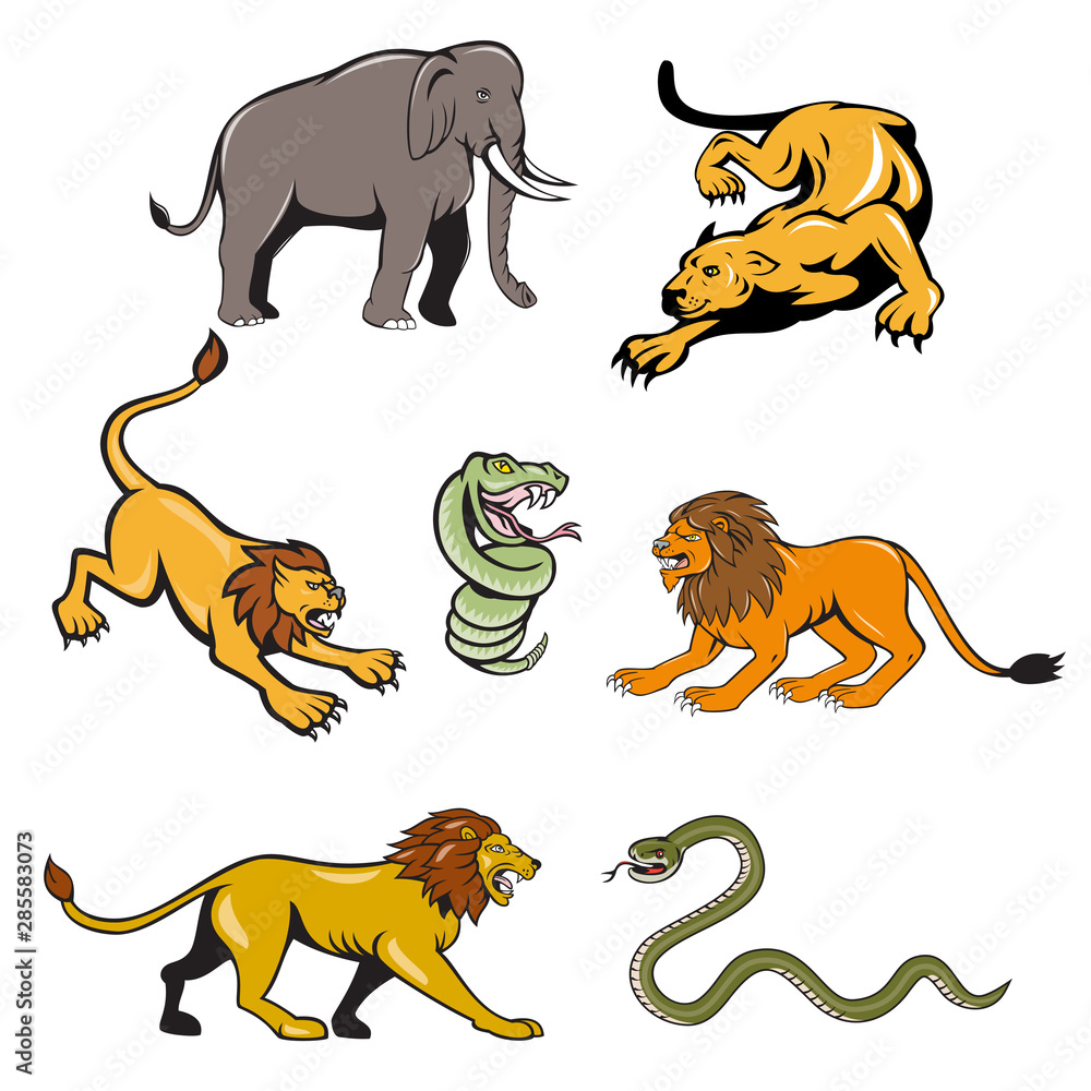 Set or collection of cartoon character mascot style illustration of African  wildlife animals like the lion, elephant, snake, lioness on isolated white  background. Stock Vector | Adobe Stock