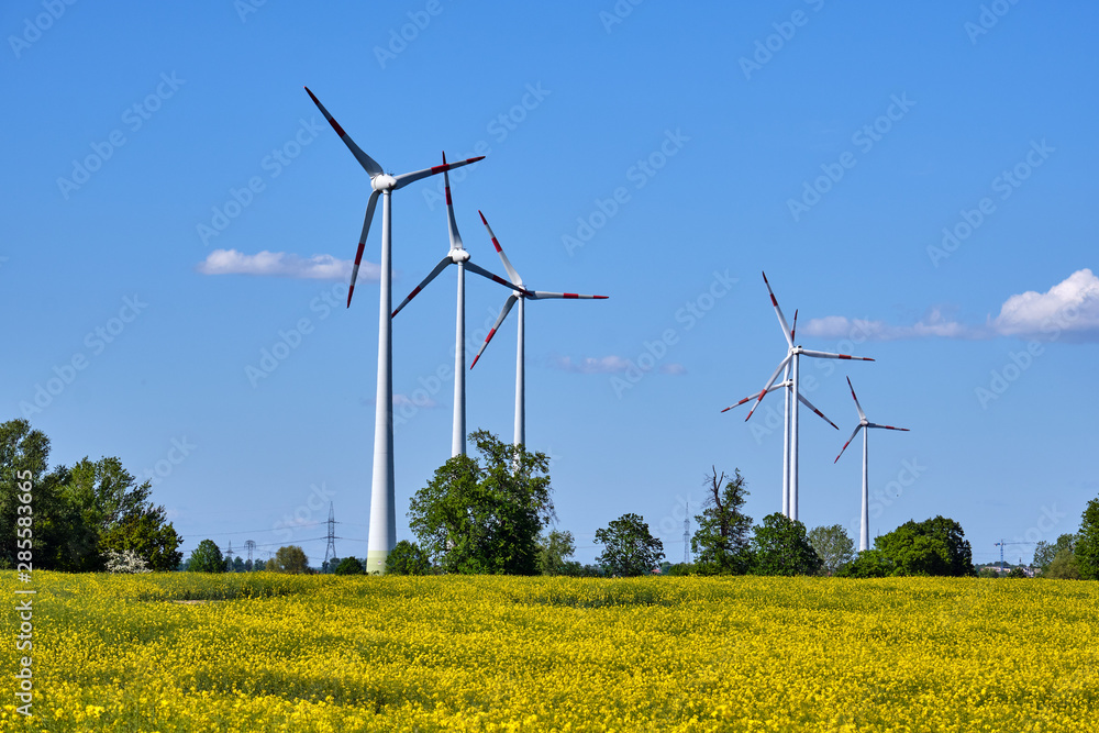 Canola field with wind turbines seen in Germany Canola field with wind turbines seen in Germany