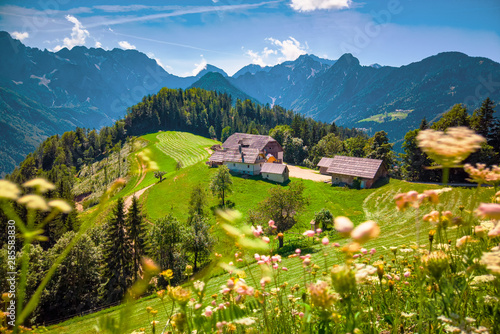 Mountain landscape, Alps in Slovenia with farm and blooming meadows