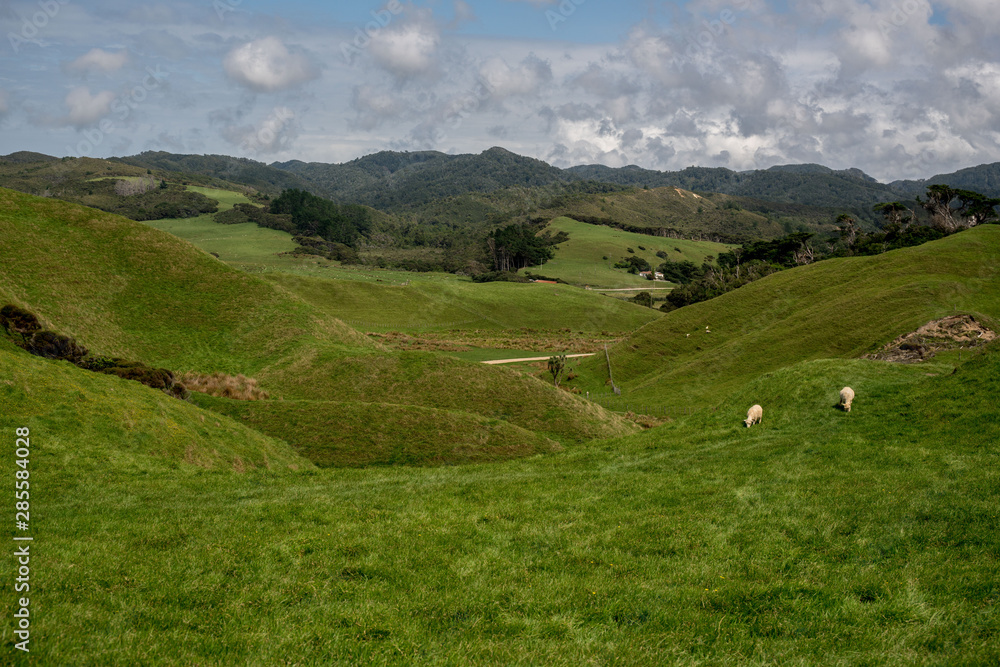 Obraz premium dramatic coastal and farmland countryside at Cape Farewell in Nelson New Zealand