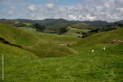 dramatic coastal and farmland countryside at Cape Farewell in Nelson New Zealand