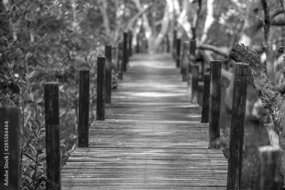 Obraz premium Blurred background of wooden bridges that allow tourists to walk through scenic views (mangroves, small forests) to study nature or relax on the way.