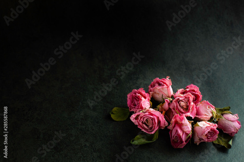 bouquet of pink roses on dark background