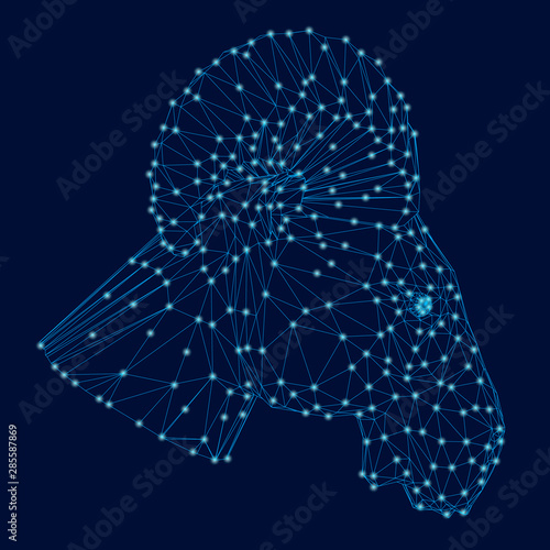 Polygonal ram head. Side view. Wireframe of the head of a ram from blue lines on a dark background with luminous lights. Vector illustration.