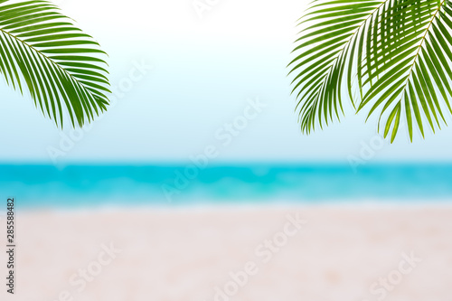 Fototapeta Naklejka Na Ścianę i Meble -  Summertime concept with Tropical palm leaves on sea beach, Spring lifestyle design with copy space for text, Summer advertising and banner.