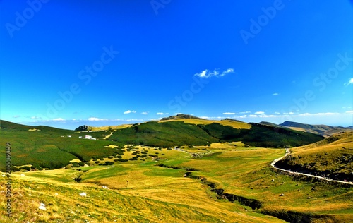 alpine landscape in summer