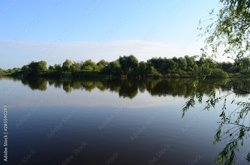 Summer landscape with lake in the field and blue sky and green grass at the morning