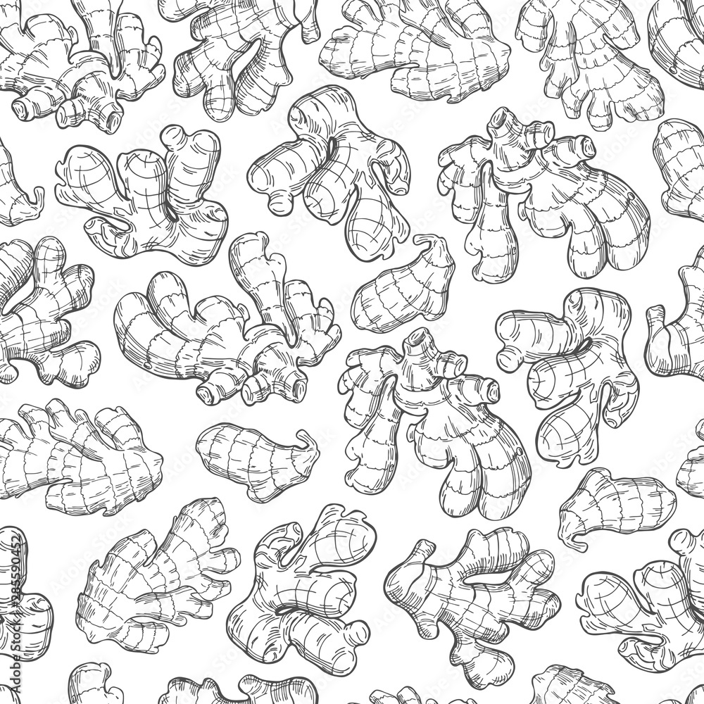 Vector  seamless pattern with Ginger root. Hand drawn sketch illustration