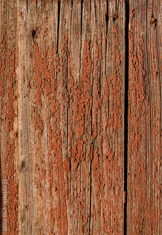 Walnut wood texture. Brown rustic background. Eco