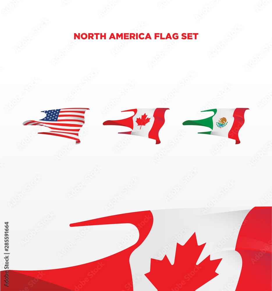 Obraz premium North american countries 3d wavy flag set collection