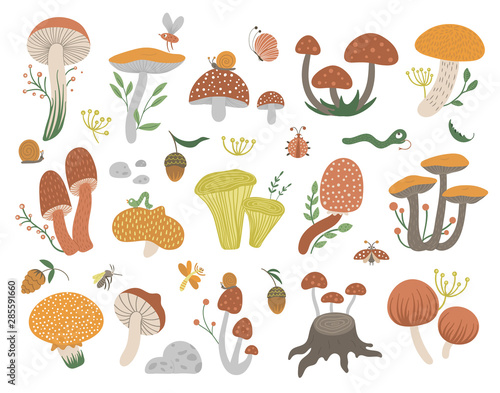 Vector set of flat funny mushrooms with berries, leaves and insects. Autumn clip art for children’s design. Cute fungi illustration with acorns and cones.