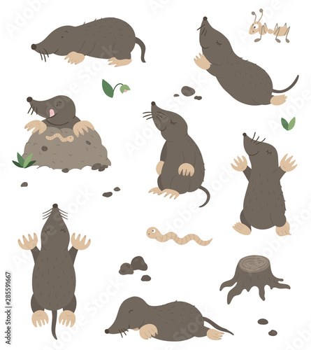 Vector set of cartoon style flat funny moles in different poses with ant, worm, leaves, stones clip art. Cute illustration of woodland animals for children’s design. .