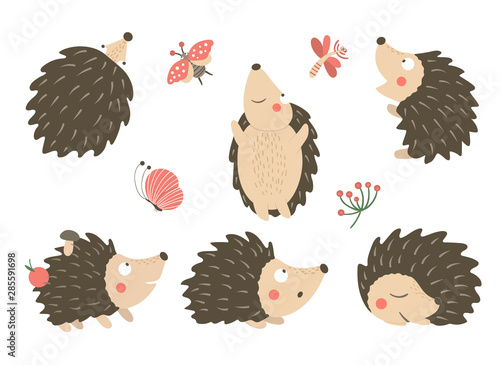 Vector set of cartoon style flat funny hedgehogs in different poses with dragonfly, butterfly, ladybug clip art. Cute illustration of woodland animals for children’s design. .