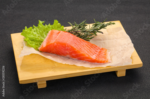 Piece of raw salmon