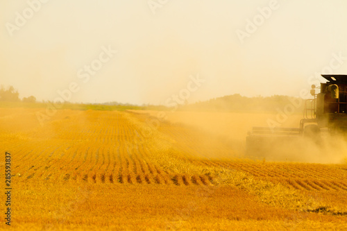 Canadian Farmer harvesting field on a combine harvester in Winnipeg Manitoba
