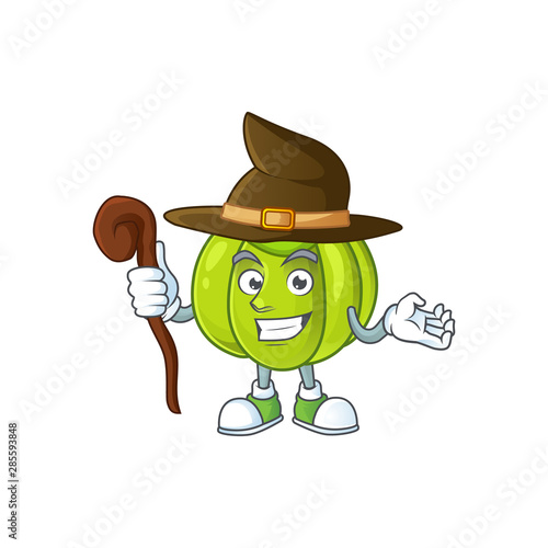 Witch green pumpkin ripe on a white background