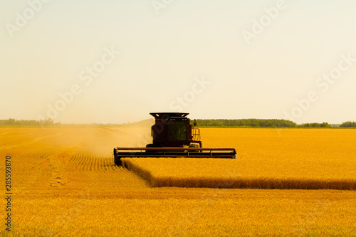 Canvas Print Canadian Farmer harvesting field on a combine harvester in Winnipeg Manitoba