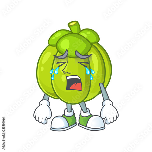 Crying green pumpkin ripe on a white background