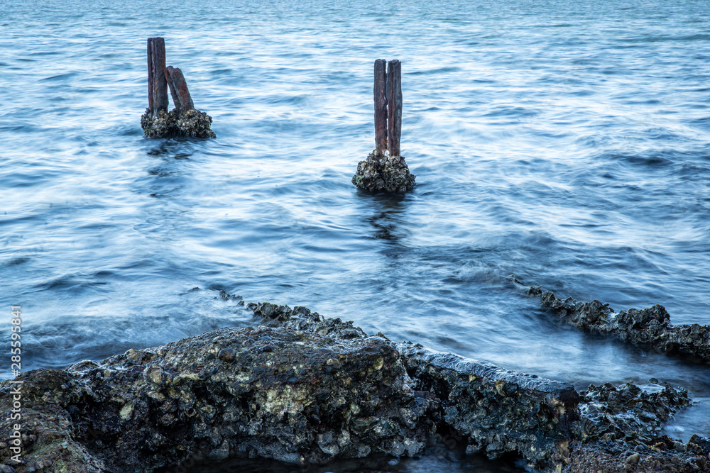 Fototapeta premium water and oysters