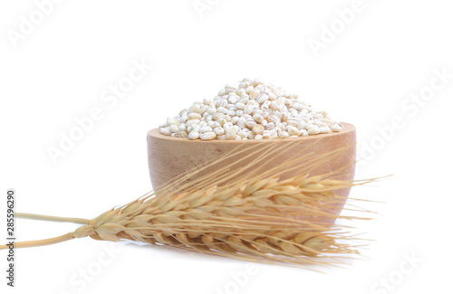 Barley grain isolated on white background